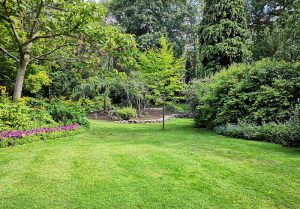 Optimiser l'expérience du jardin à Bernadets-Dessus